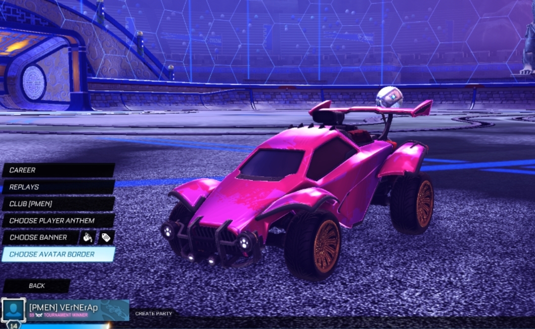 ⭐ Pink SSL Season 10 Tournament Winner Title | FULL ACCESS+EMAIL ACCESS ⭐